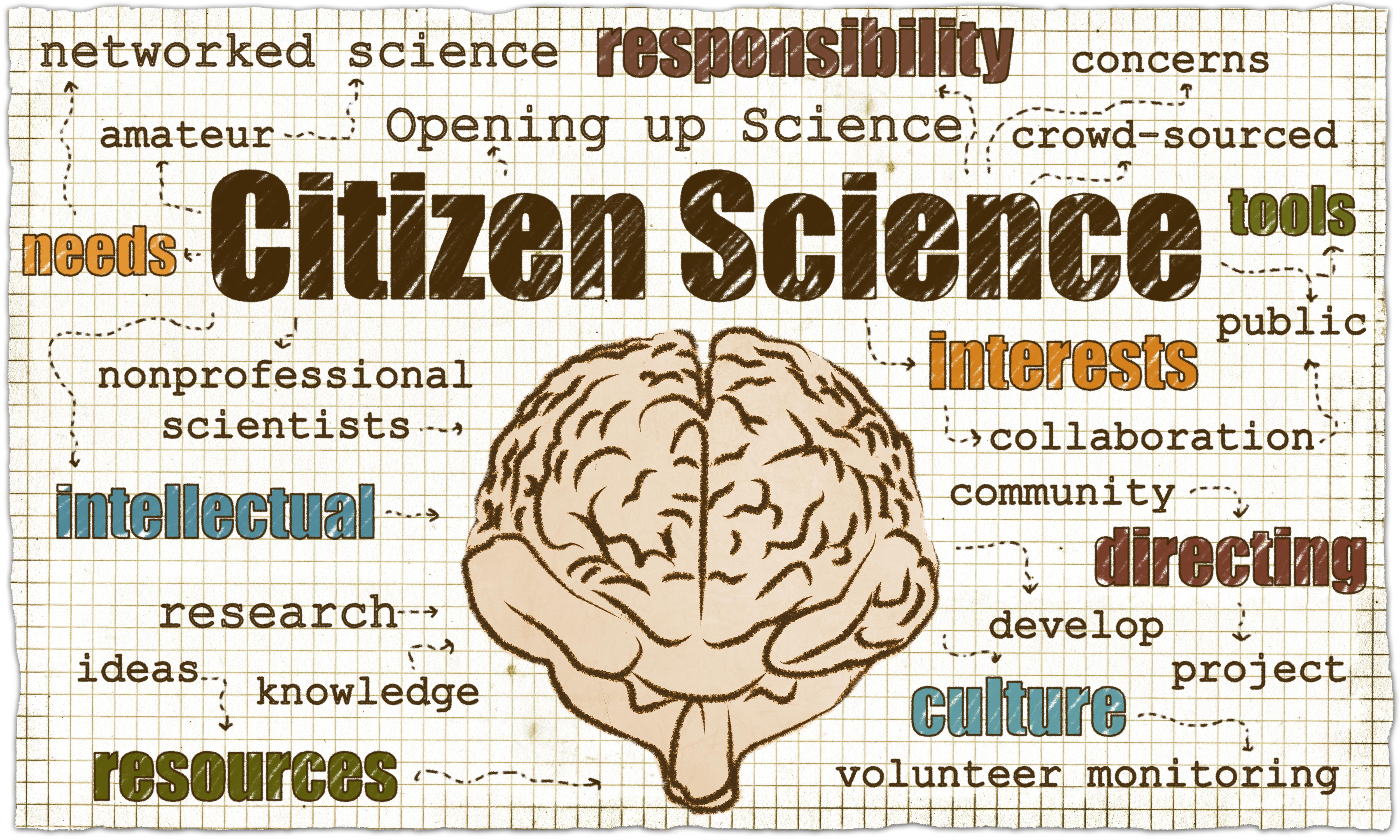 DIY Science – The Open Knowledge Lab